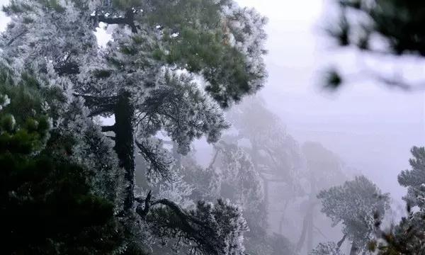 尼弗卡拉遗址